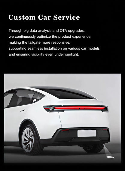 Light and Shadow Footwork System